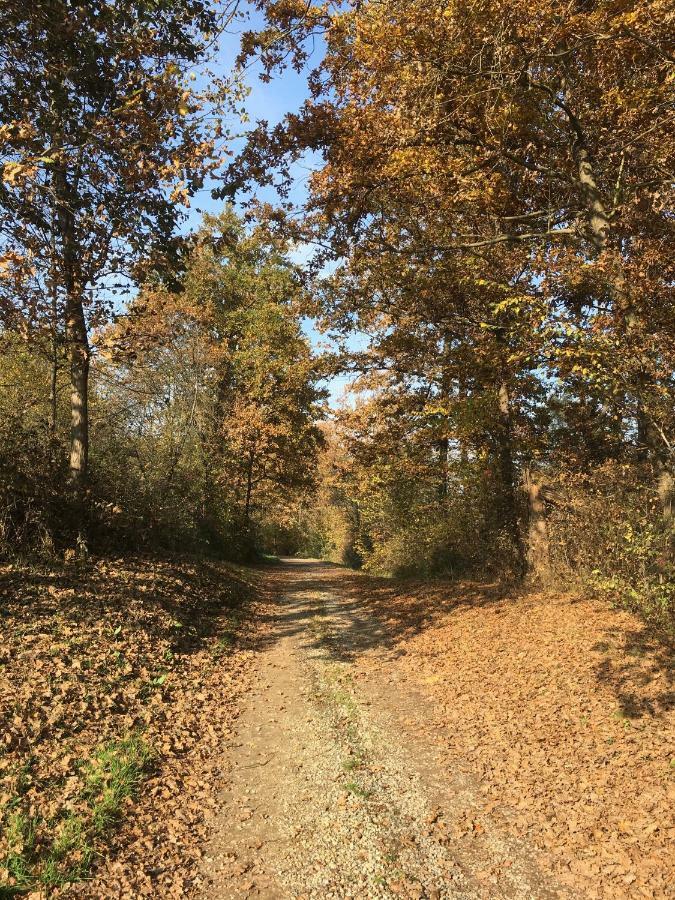 B&B Cascina Dei Levrieri Capriglio Eksteriør billede